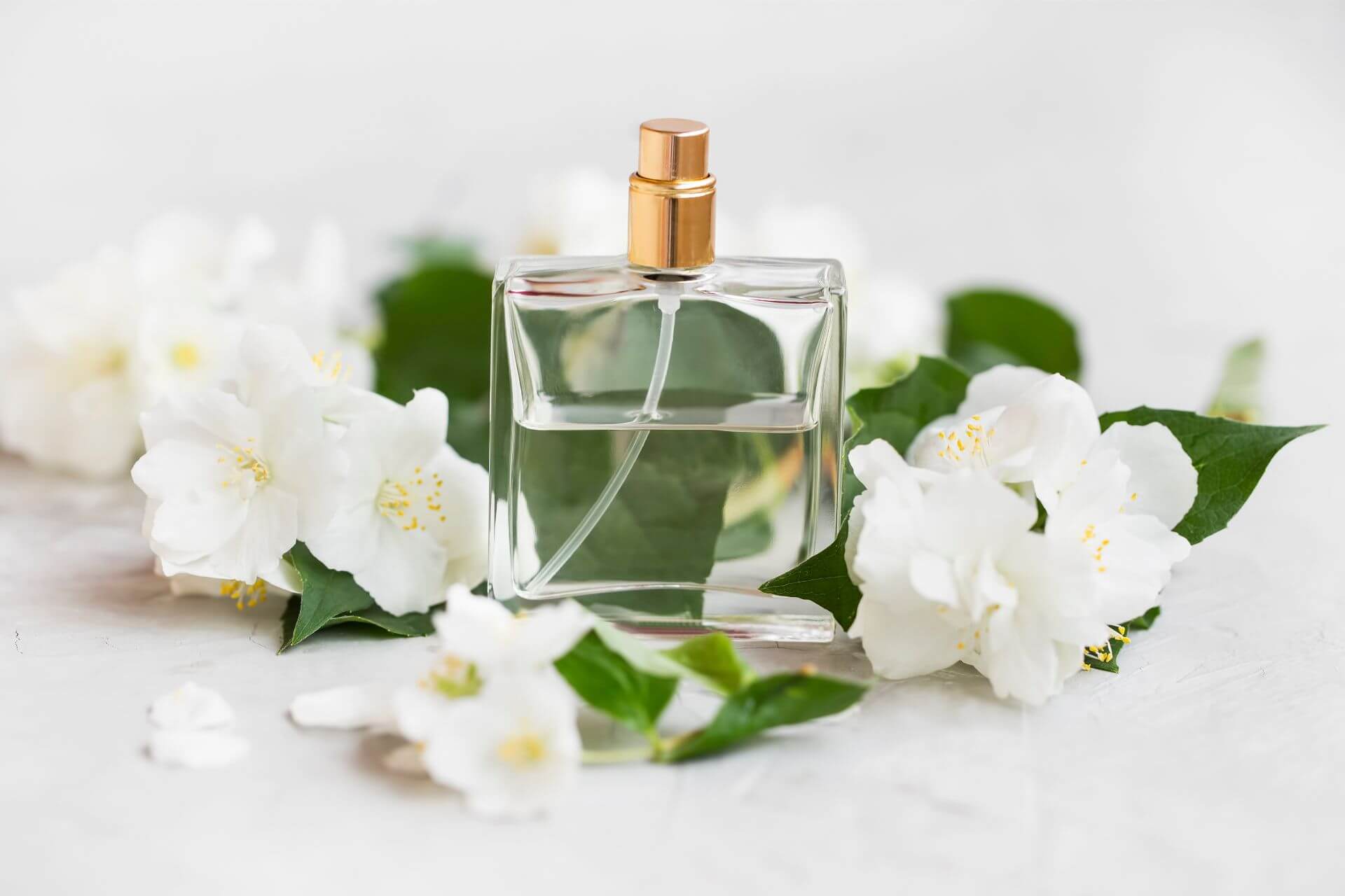 The Blossom Photostock 15