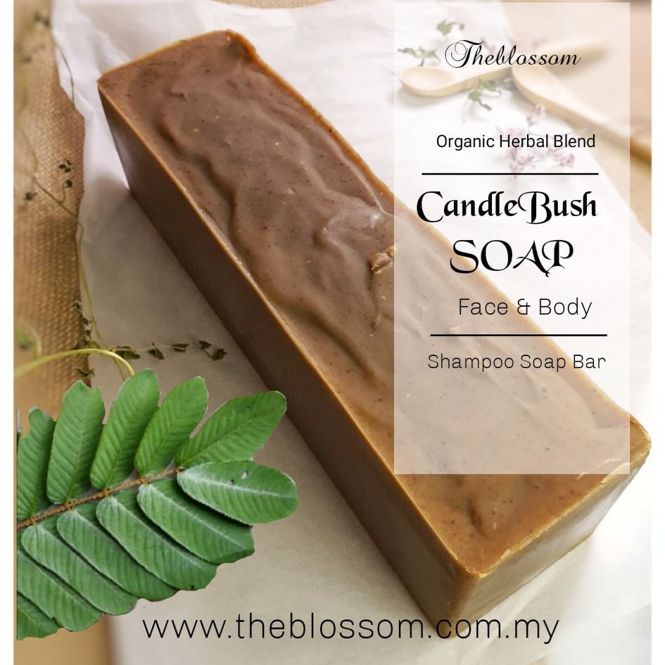 232662133_366353308425182_5908731108883178992_n-2.jpg Candlebush + Neem Soap Block/Herbal/Sabun Neem Daun Gelanggang/Sensitive Skin/Eczema/Dermatitis 对面叶+苦楝混合皂砖