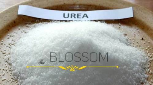 Urea-1.jpg Urea 99.5% (Cosmetic Grade)